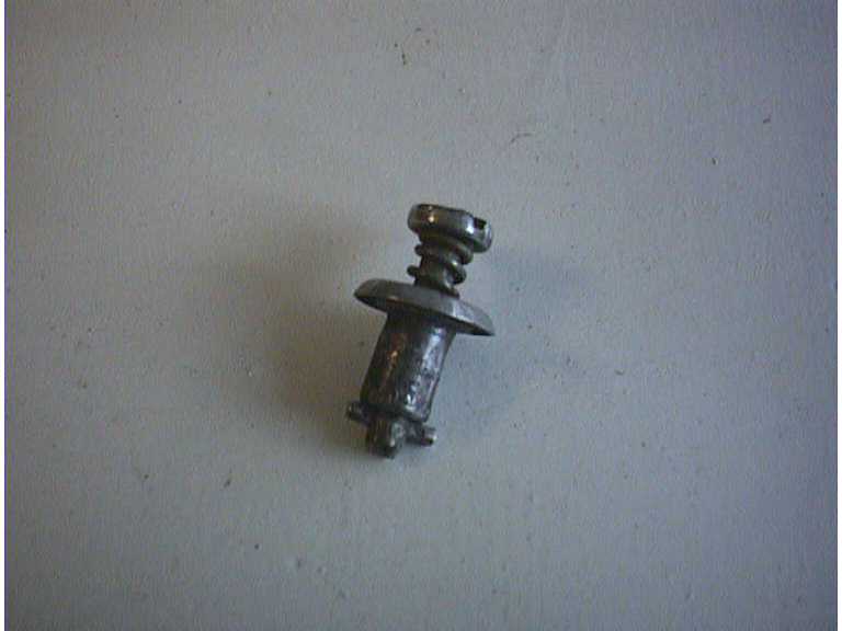 CANOPY SCREW2